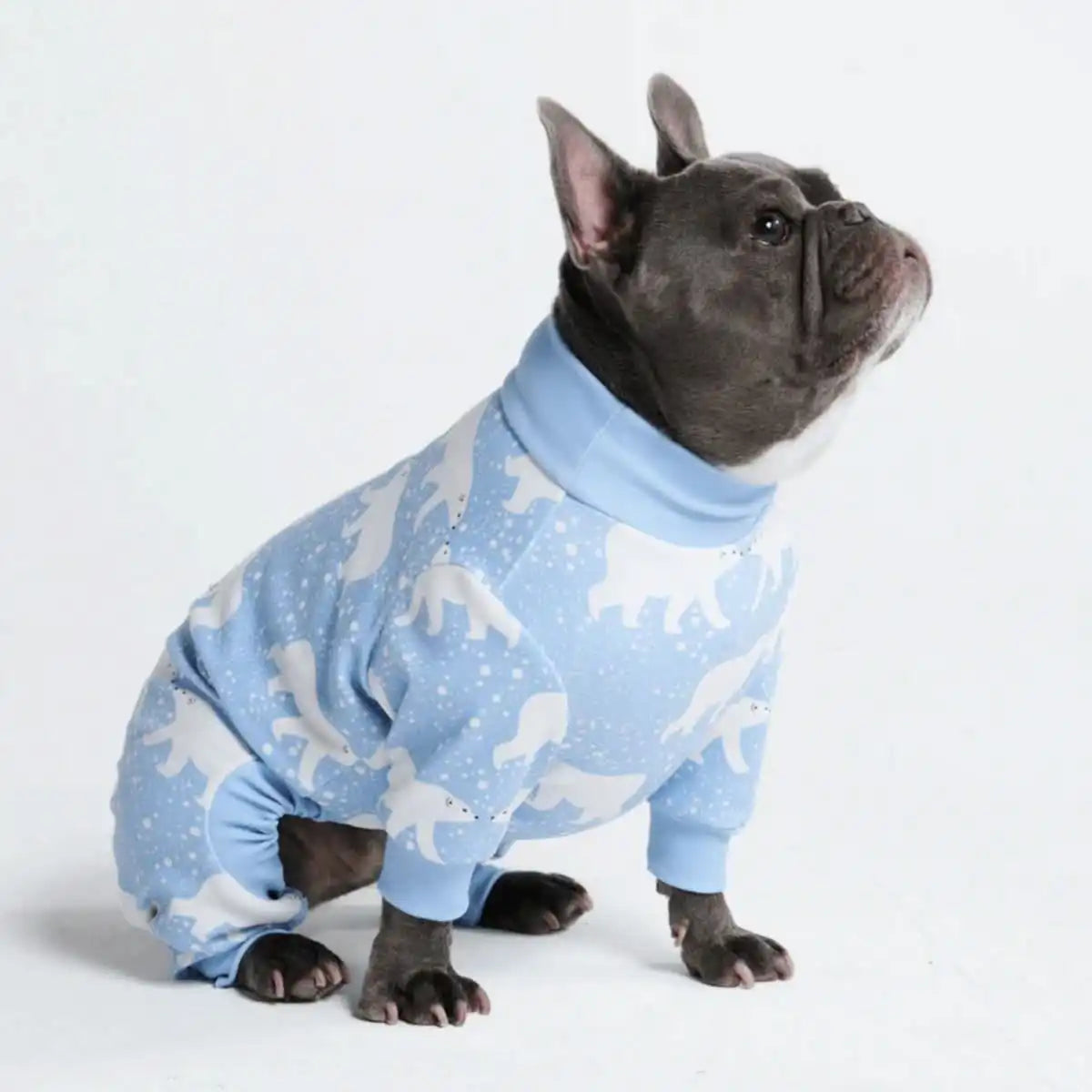sparkpawsmaut.com