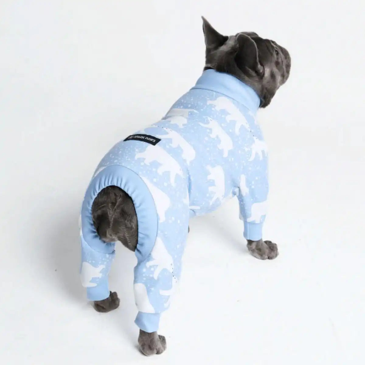 sparkpawsmaut.com