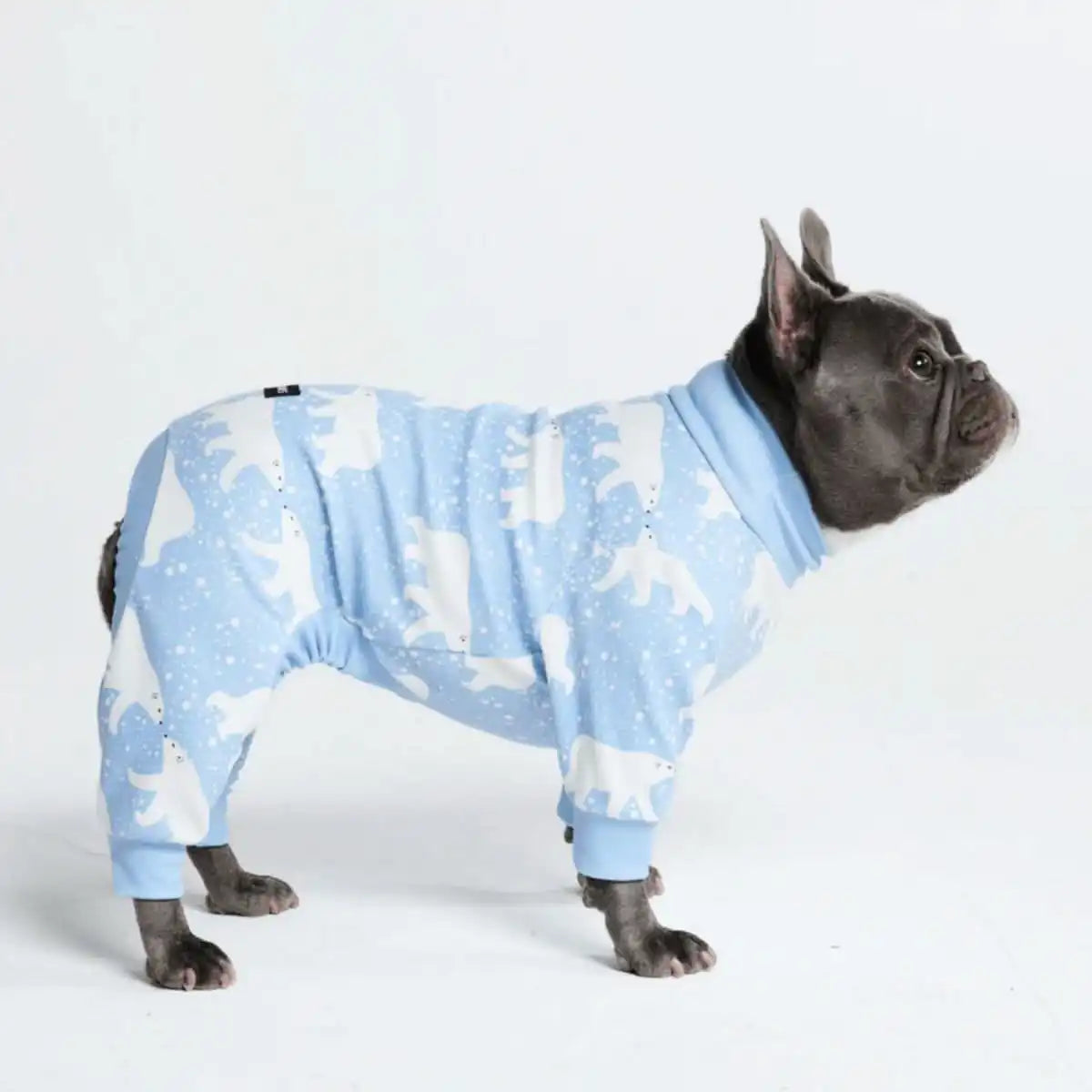 sparkpawsmaut.com