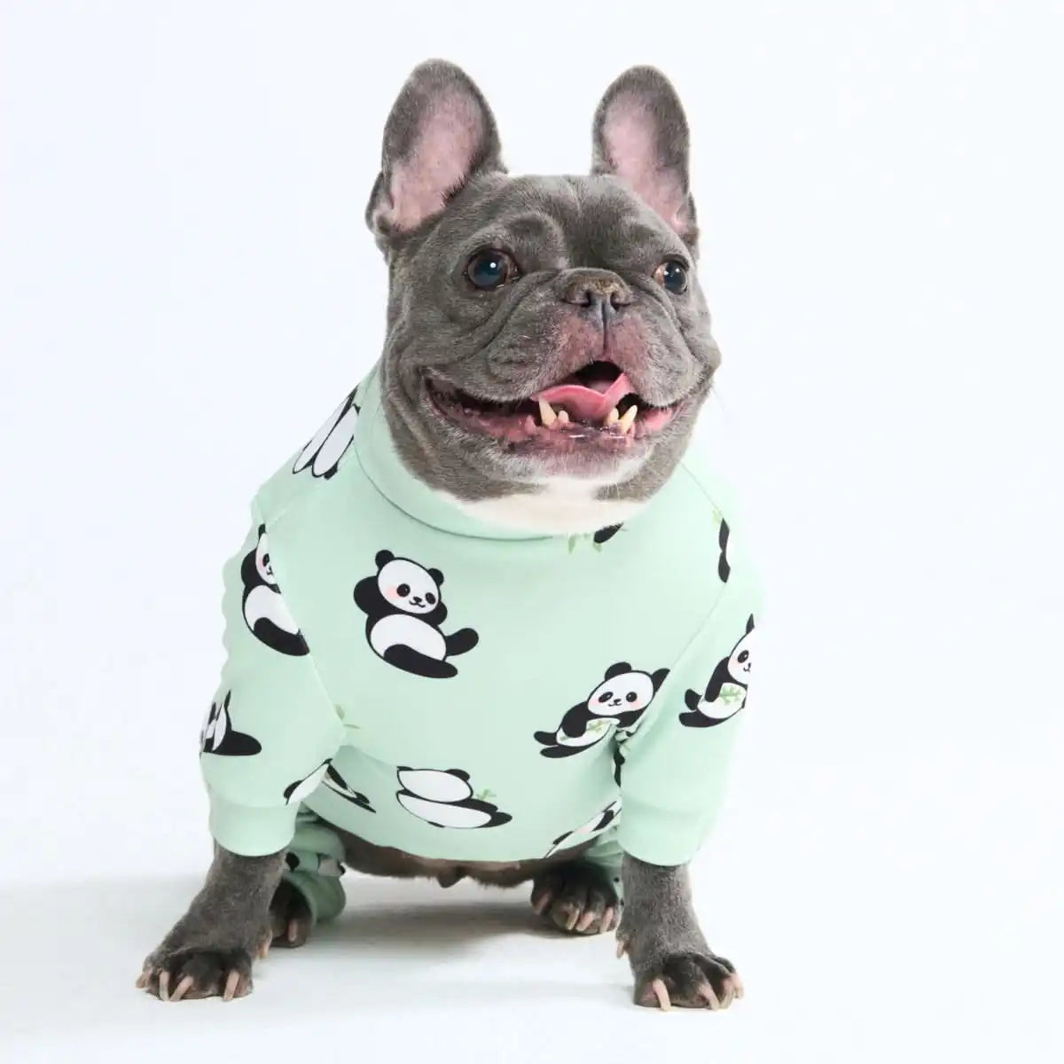 sparkpawsmaut.com