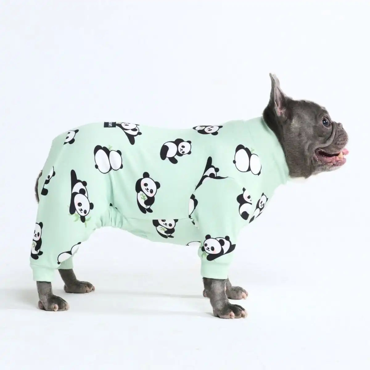 sparkpawsmaut.com