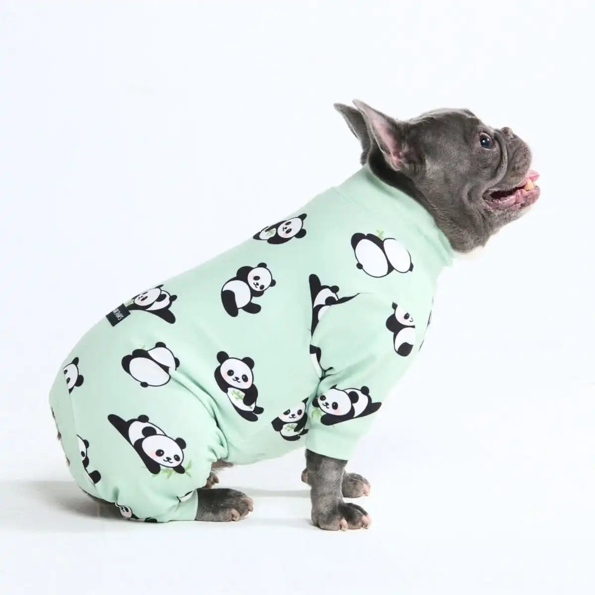 sparkpawsmaut.com