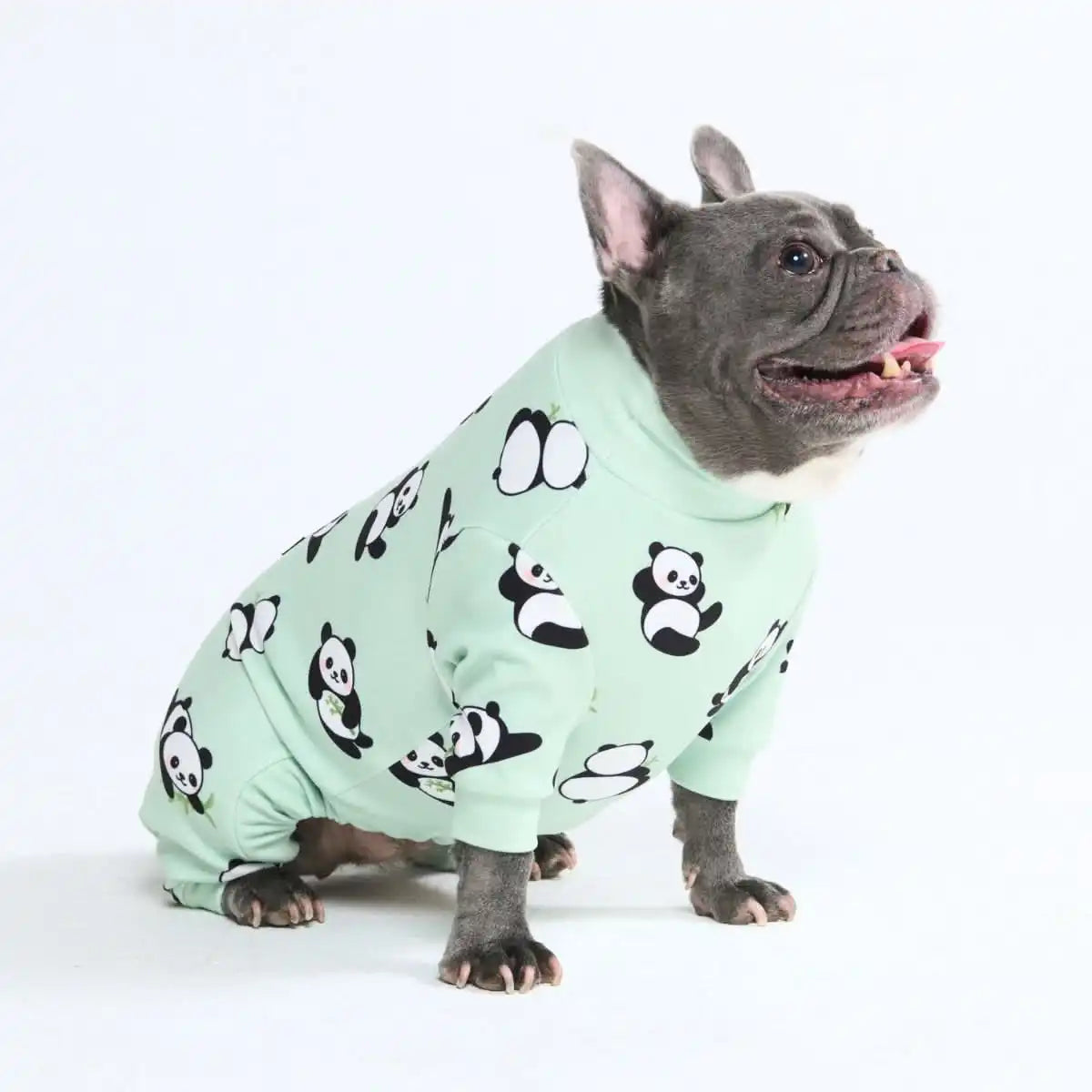 sparkpawsmaut.com