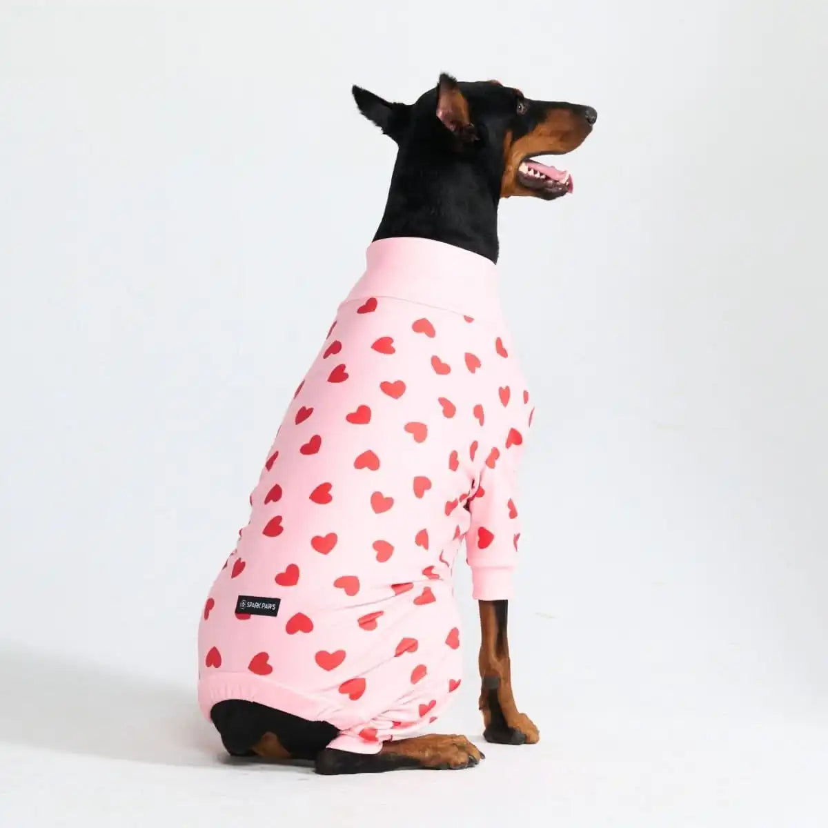sparkpawsmaut.com