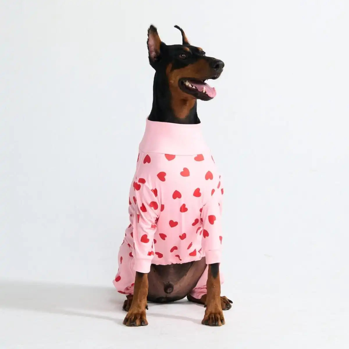 sparkpawsmaut.com