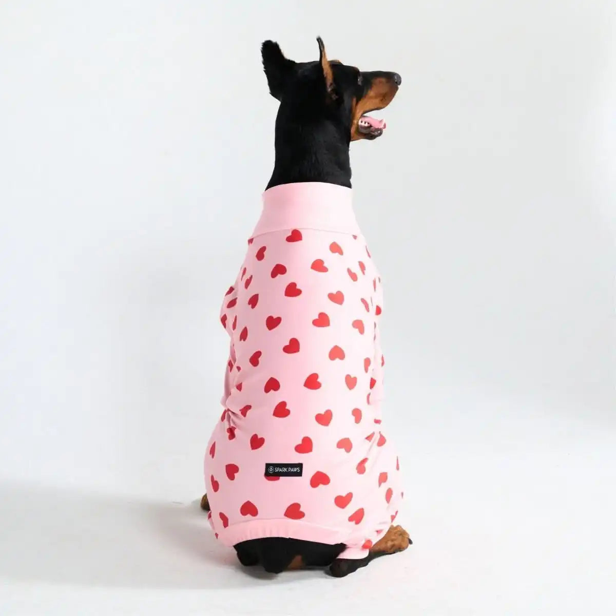 sparkpawsmaut.com