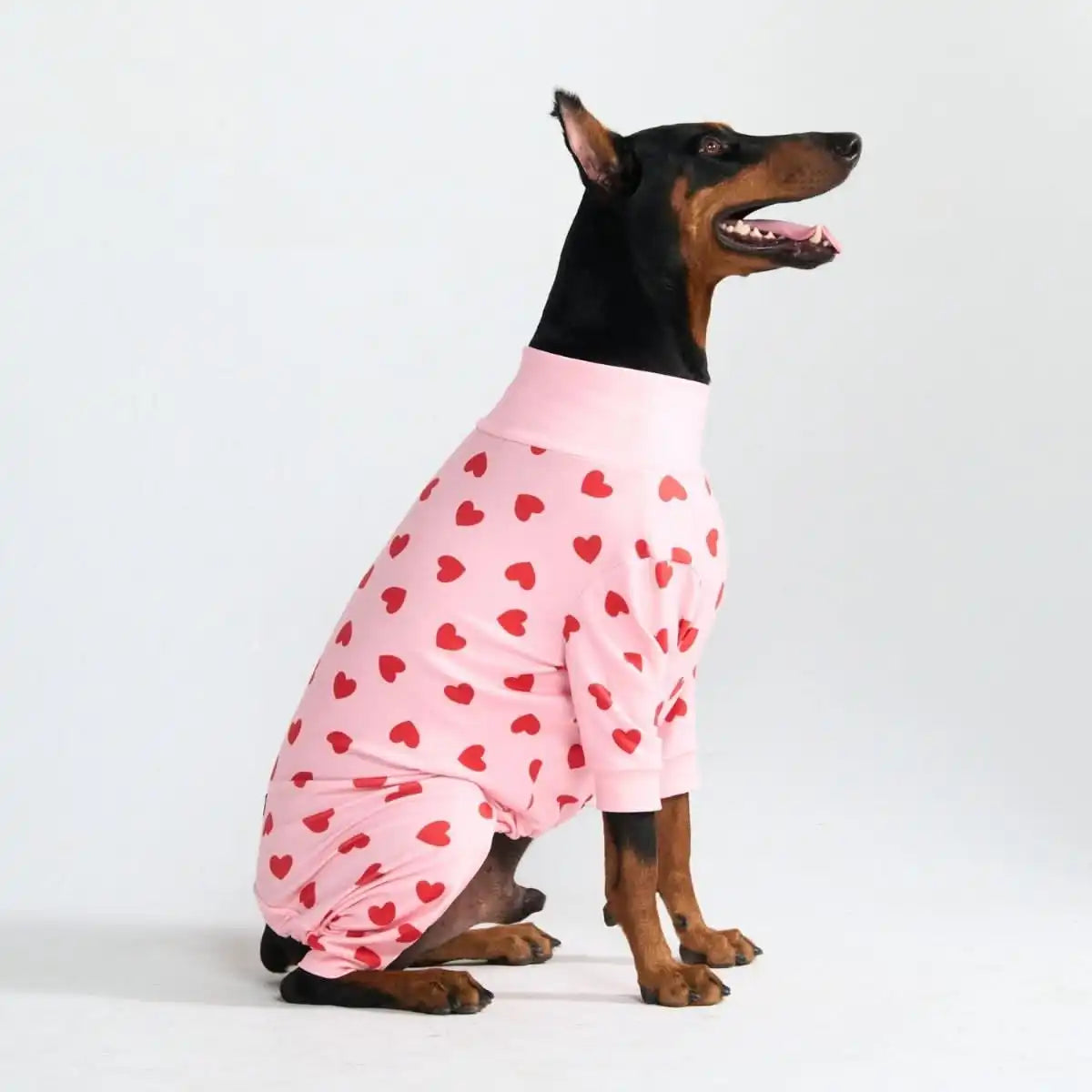 sparkpawsmaut.com