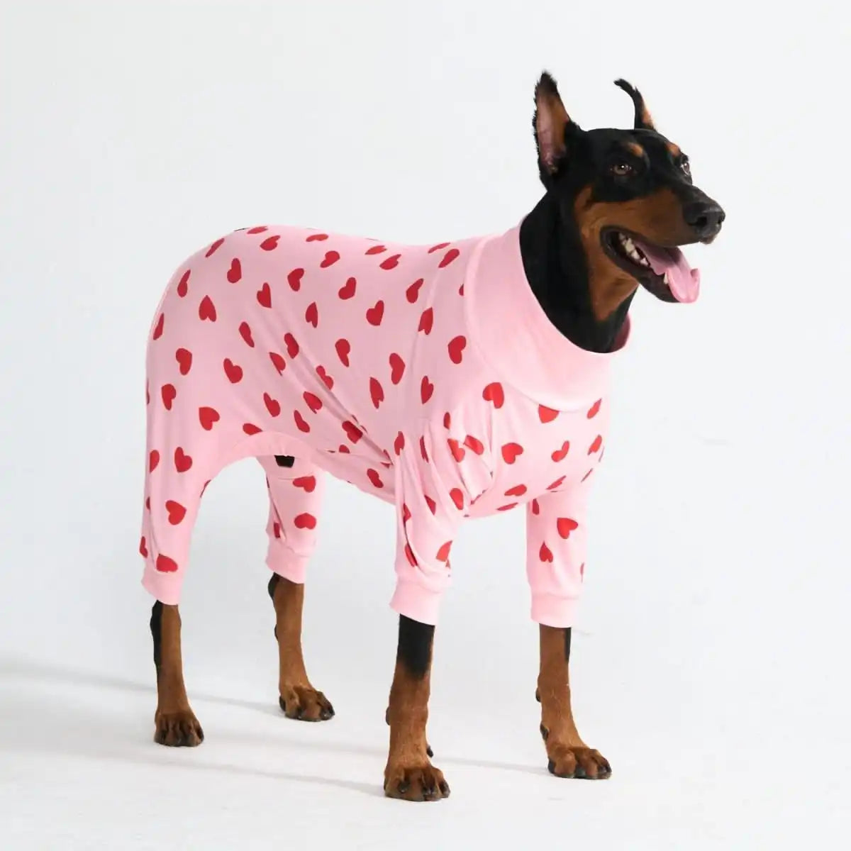 sparkpawsmaut.com