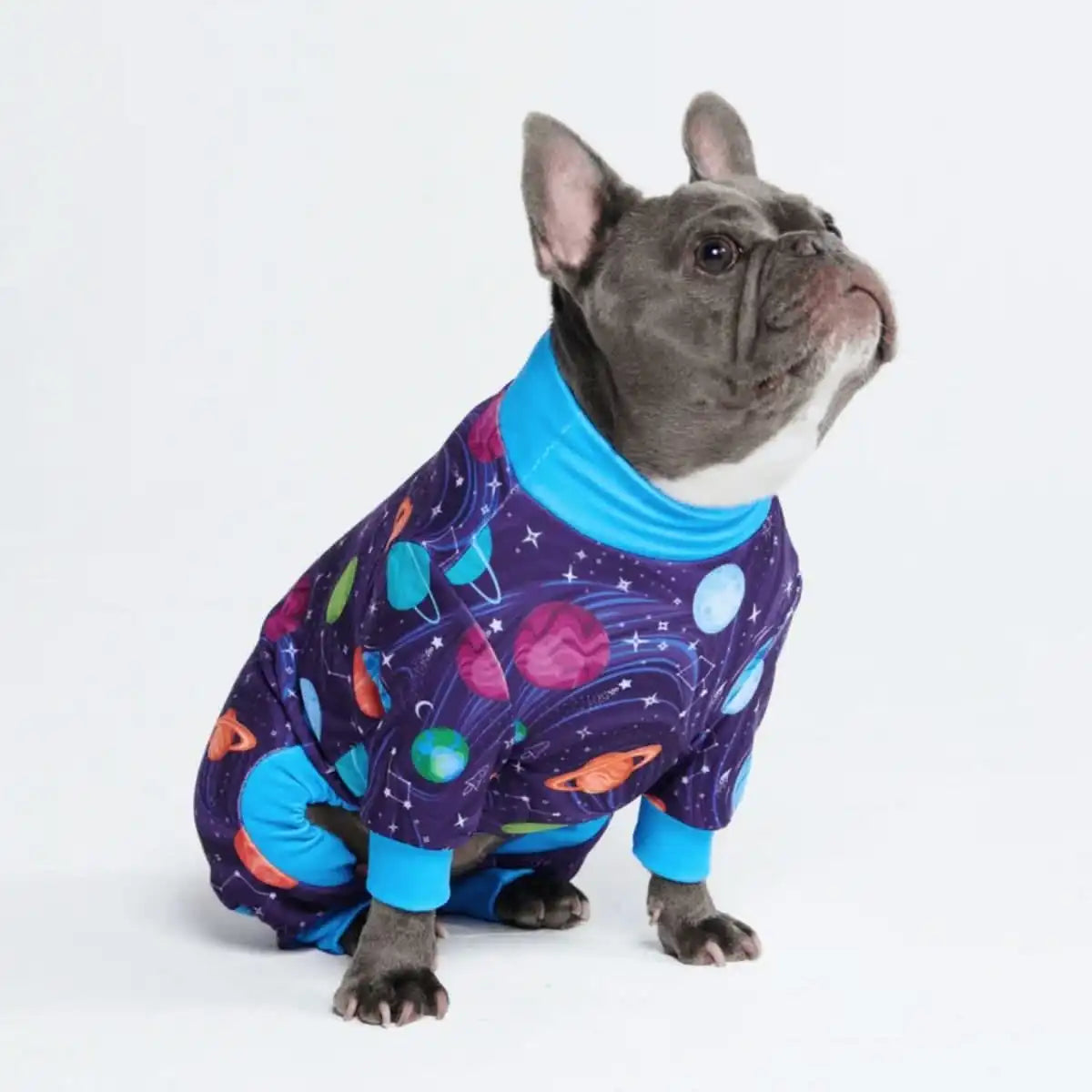 sparkpawsmaut.com