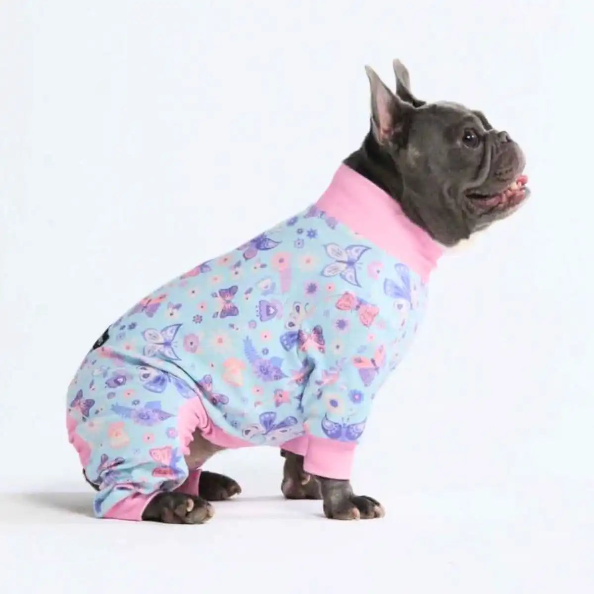 sparkpawsmaut.com