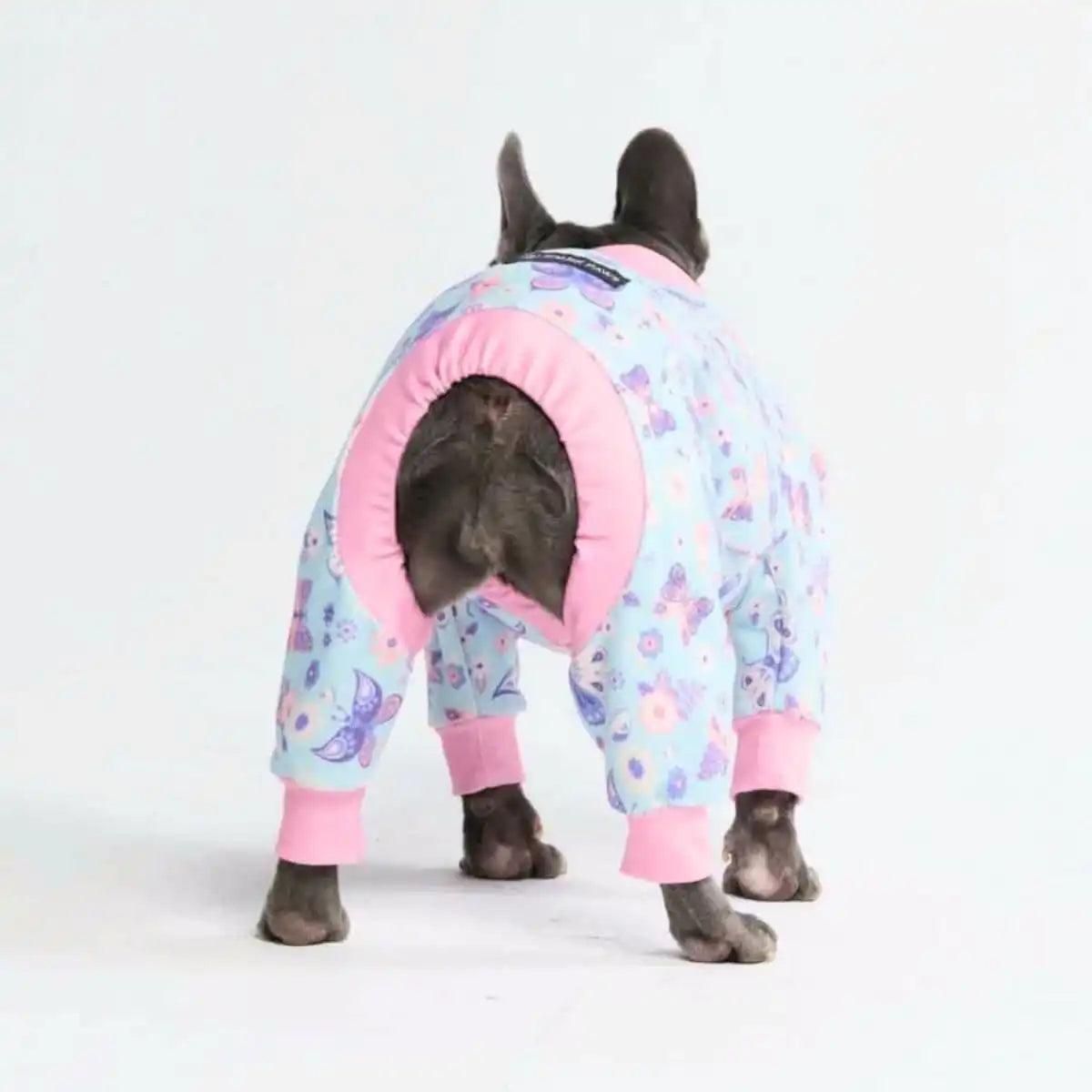 sparkpawsmaut.com
