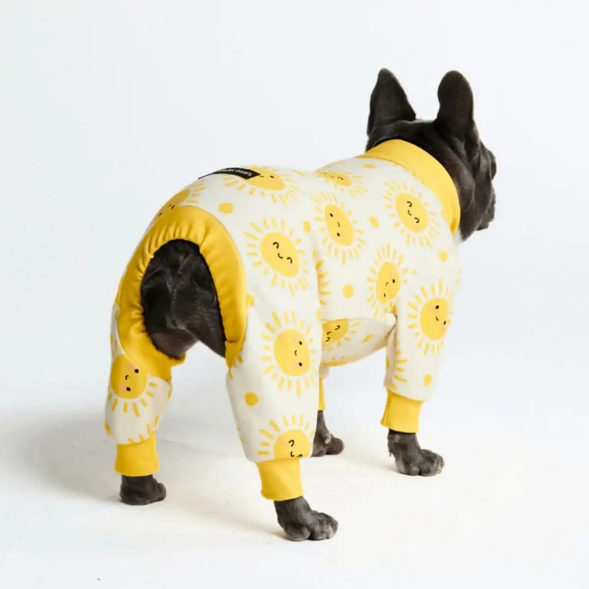 sparkpawsmaut.com