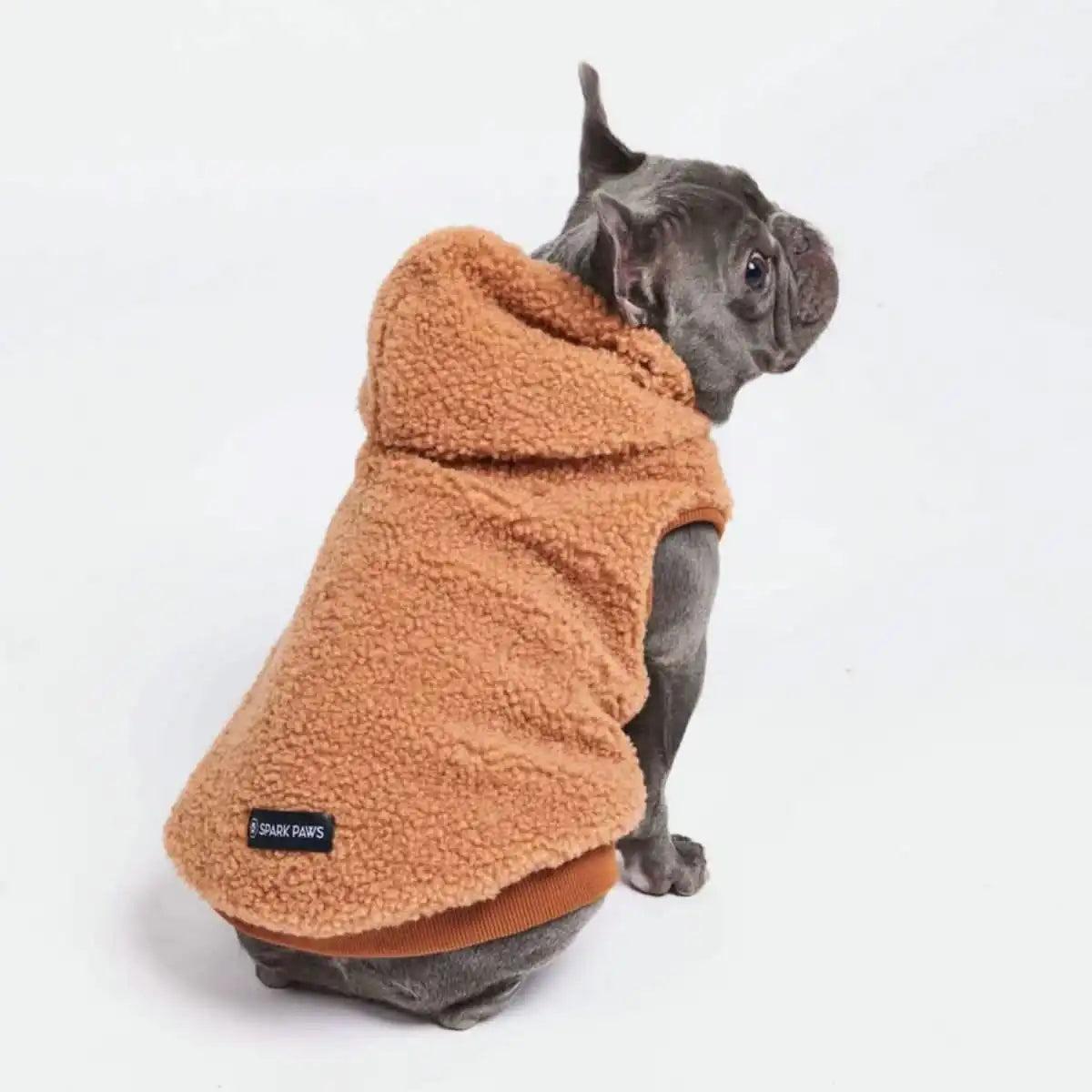 sparkpawsmaut.com