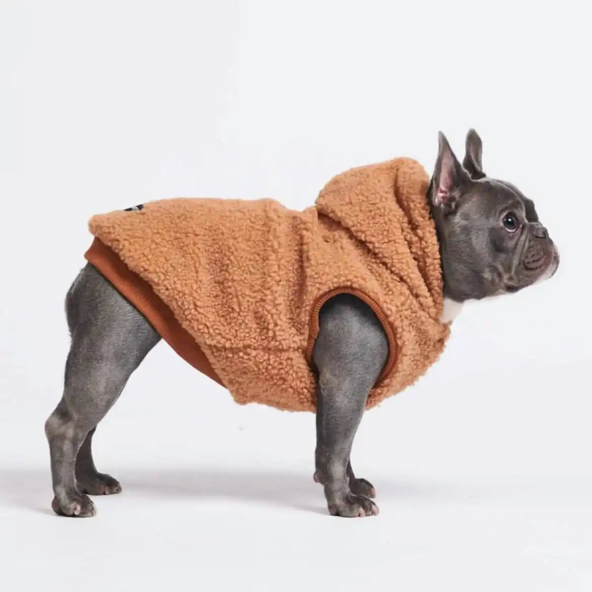 sparkpawsmaut.com
