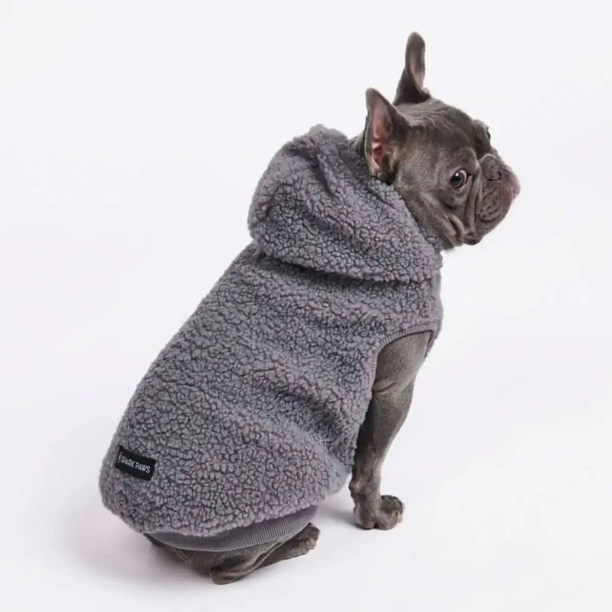 sparkpawsmaut.com