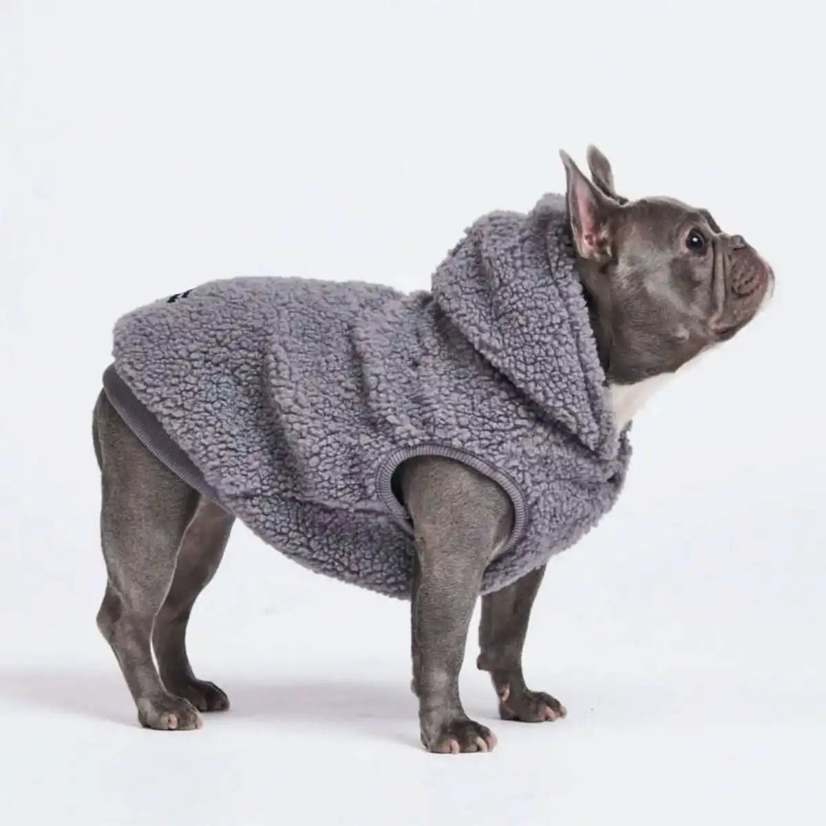 sparkpawsmaut.com