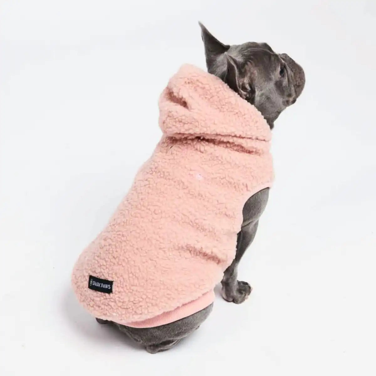 sparkpawsmaut.com