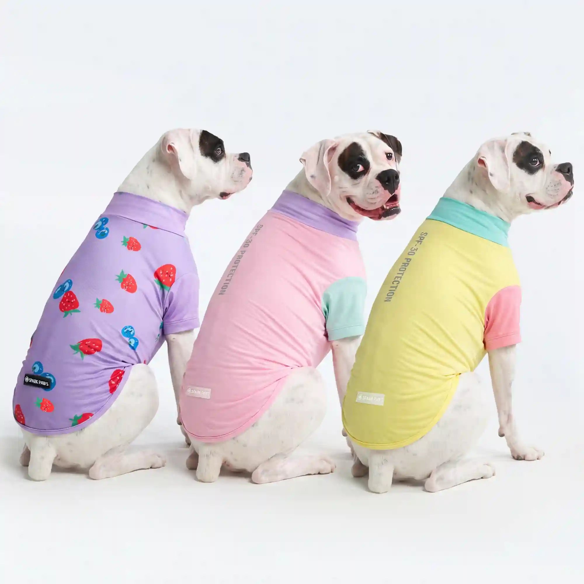 sparkpawsmaut.com