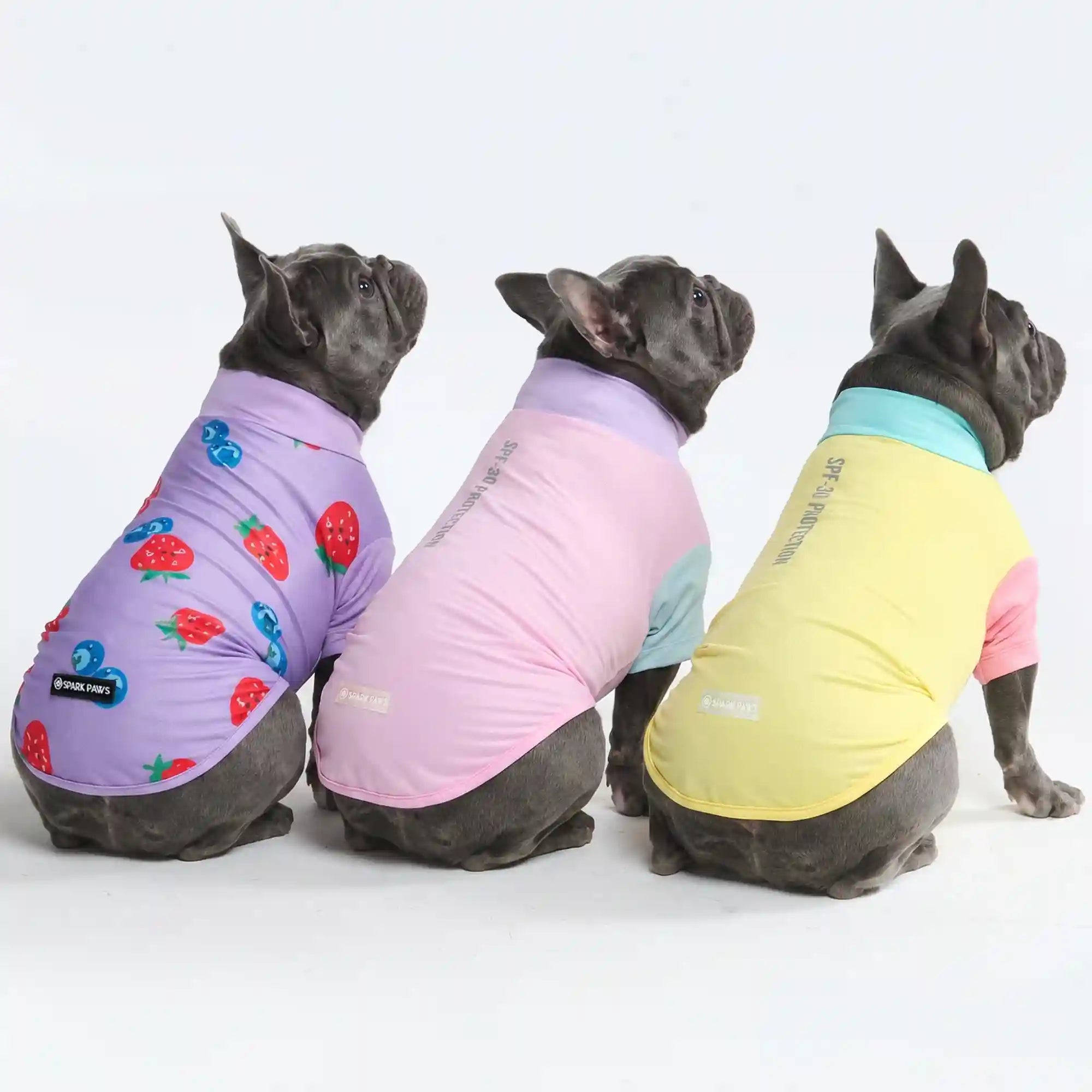 sparkpawsmaut.com