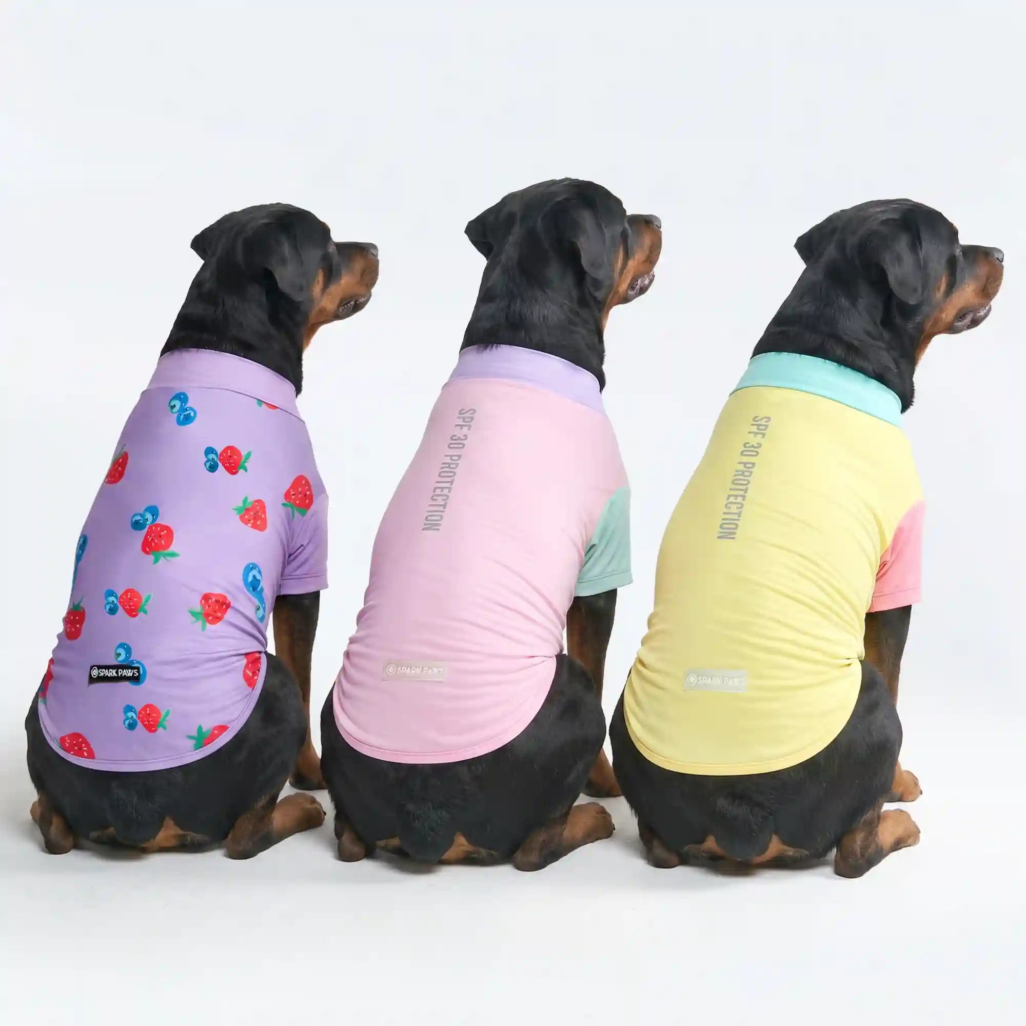 sparkpawsmaut.com