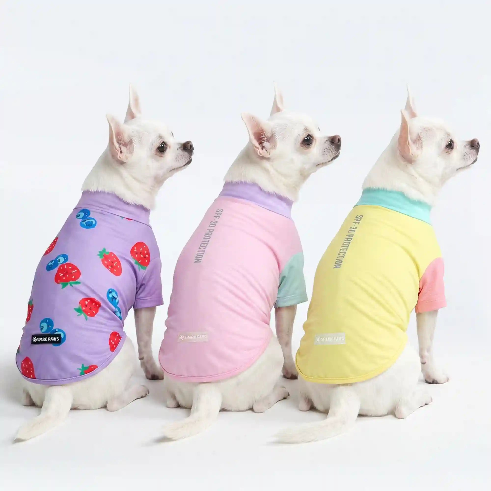 sparkpawsmaut.com