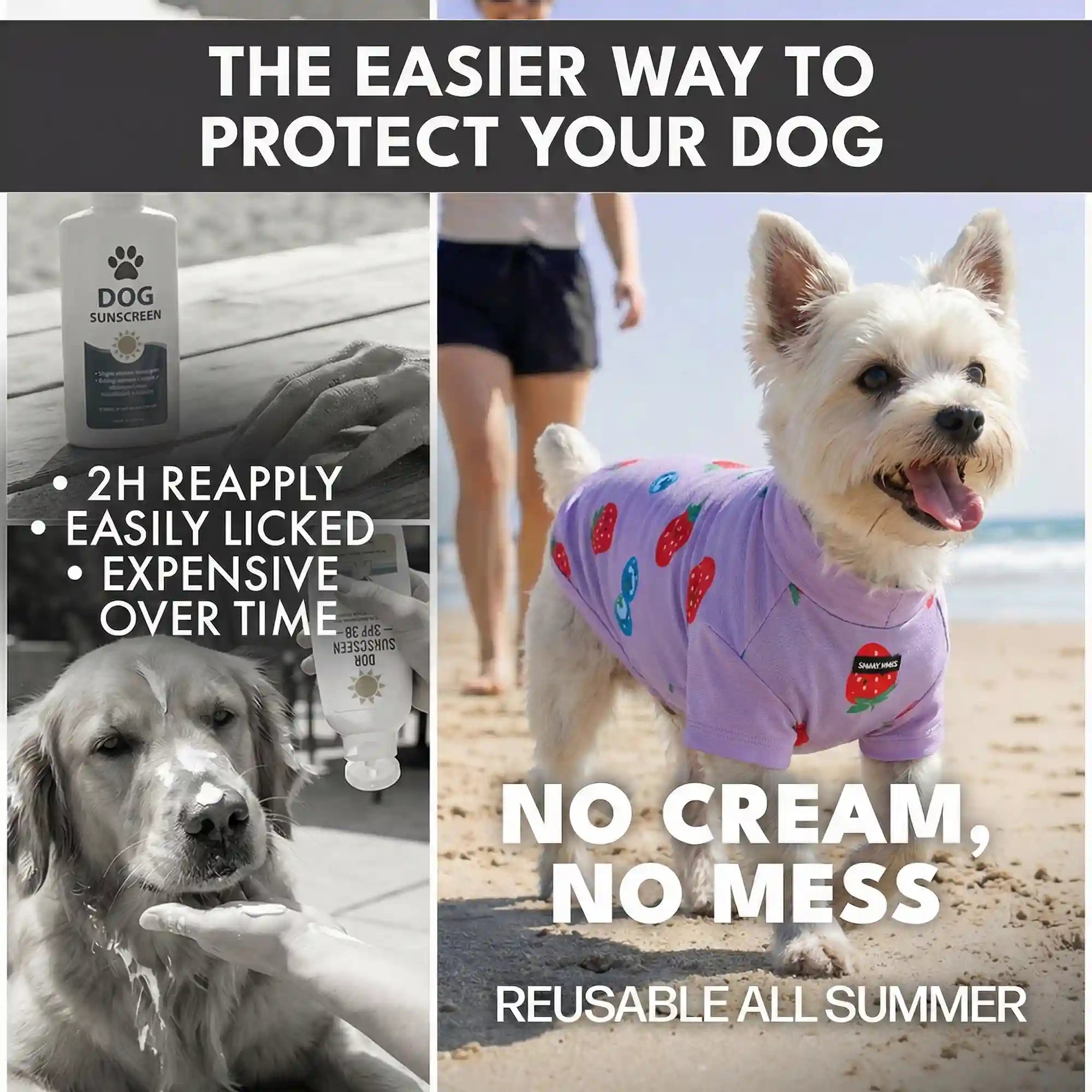 sparkpawsmaut.com