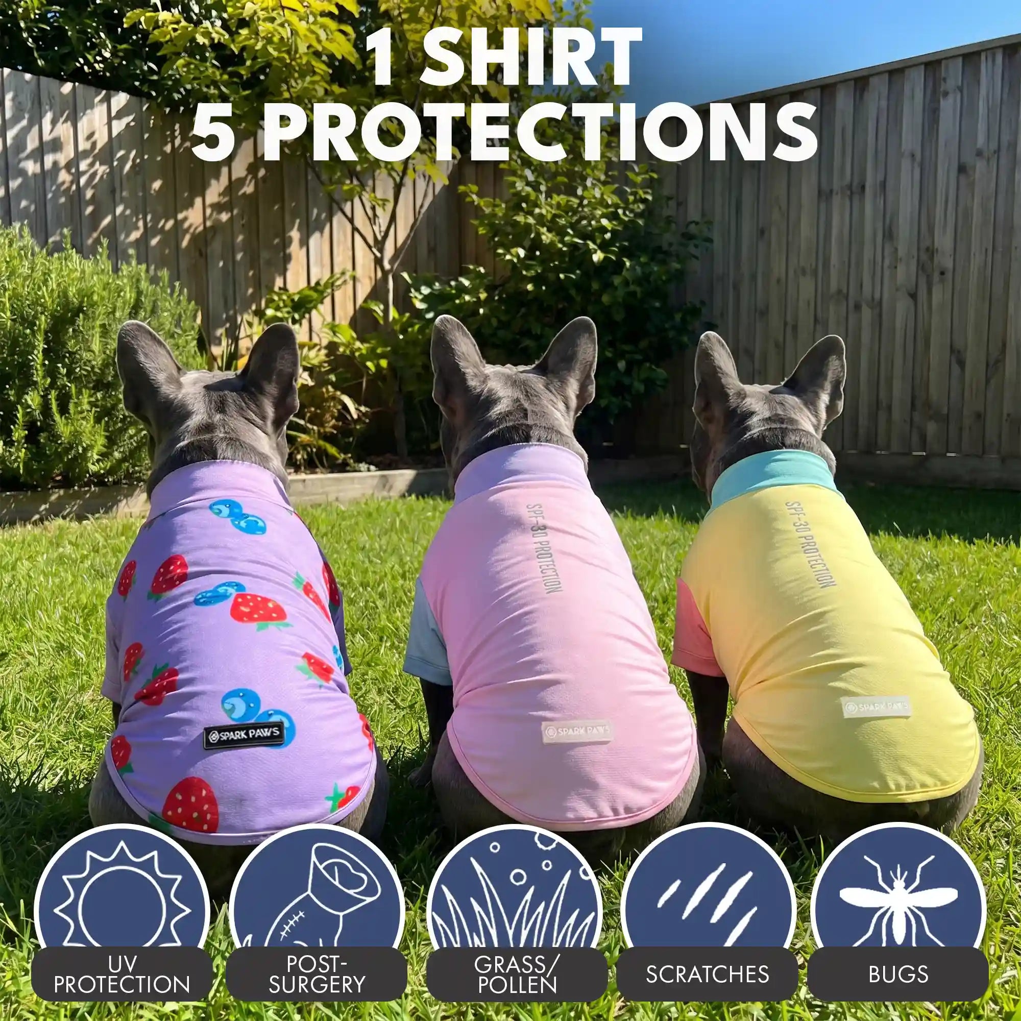 sparkpawsmaut.com