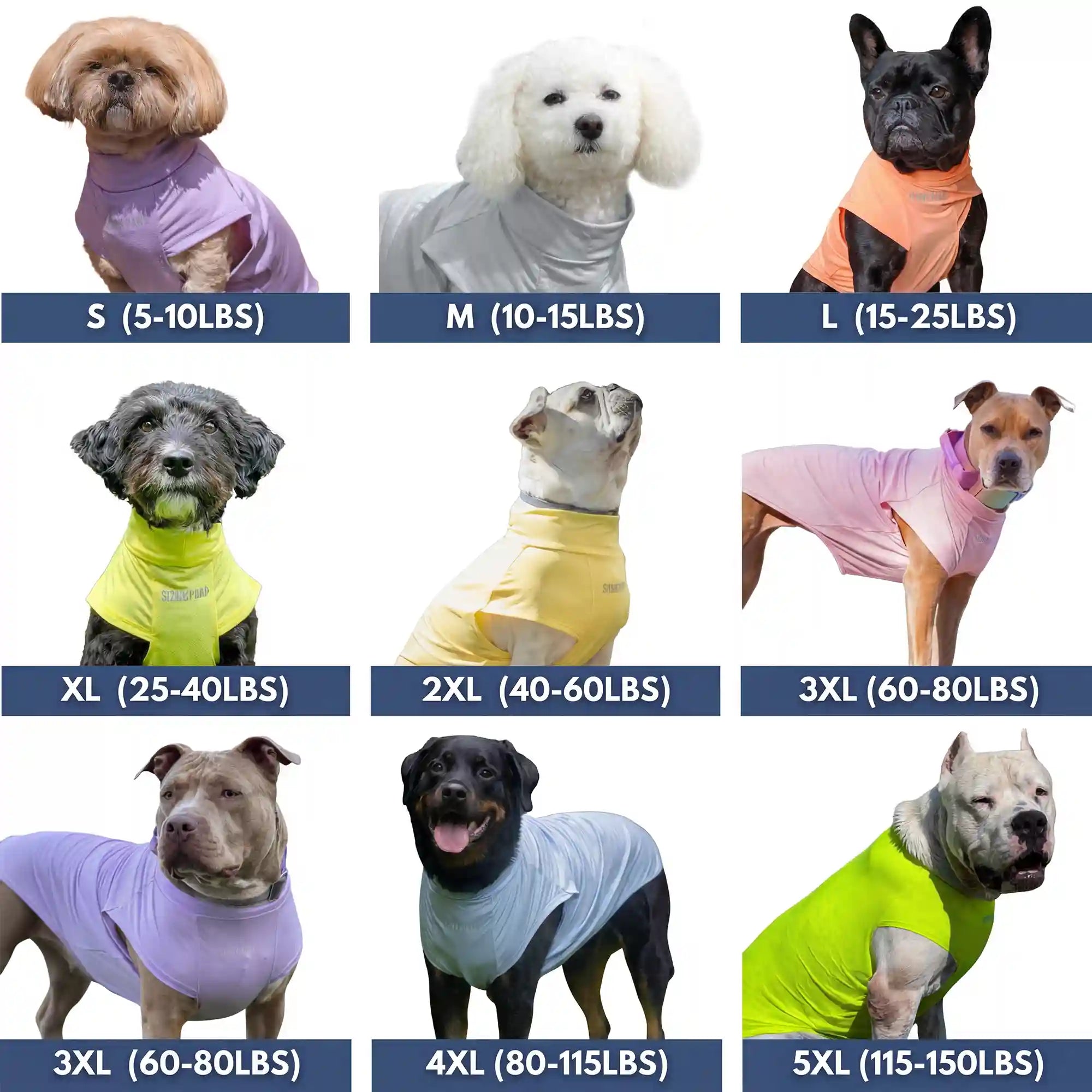sparkpawsmaut.com