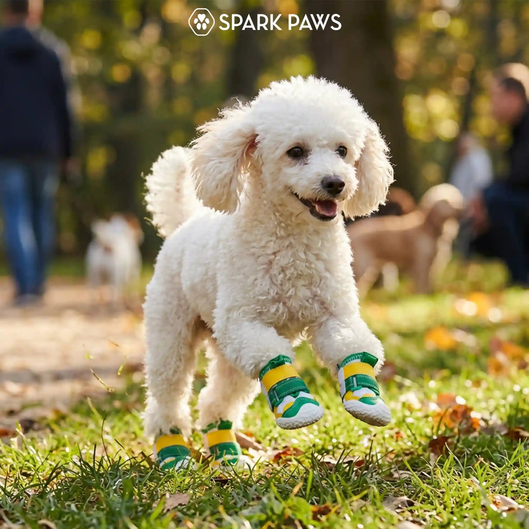 sparkpawsmaut.com