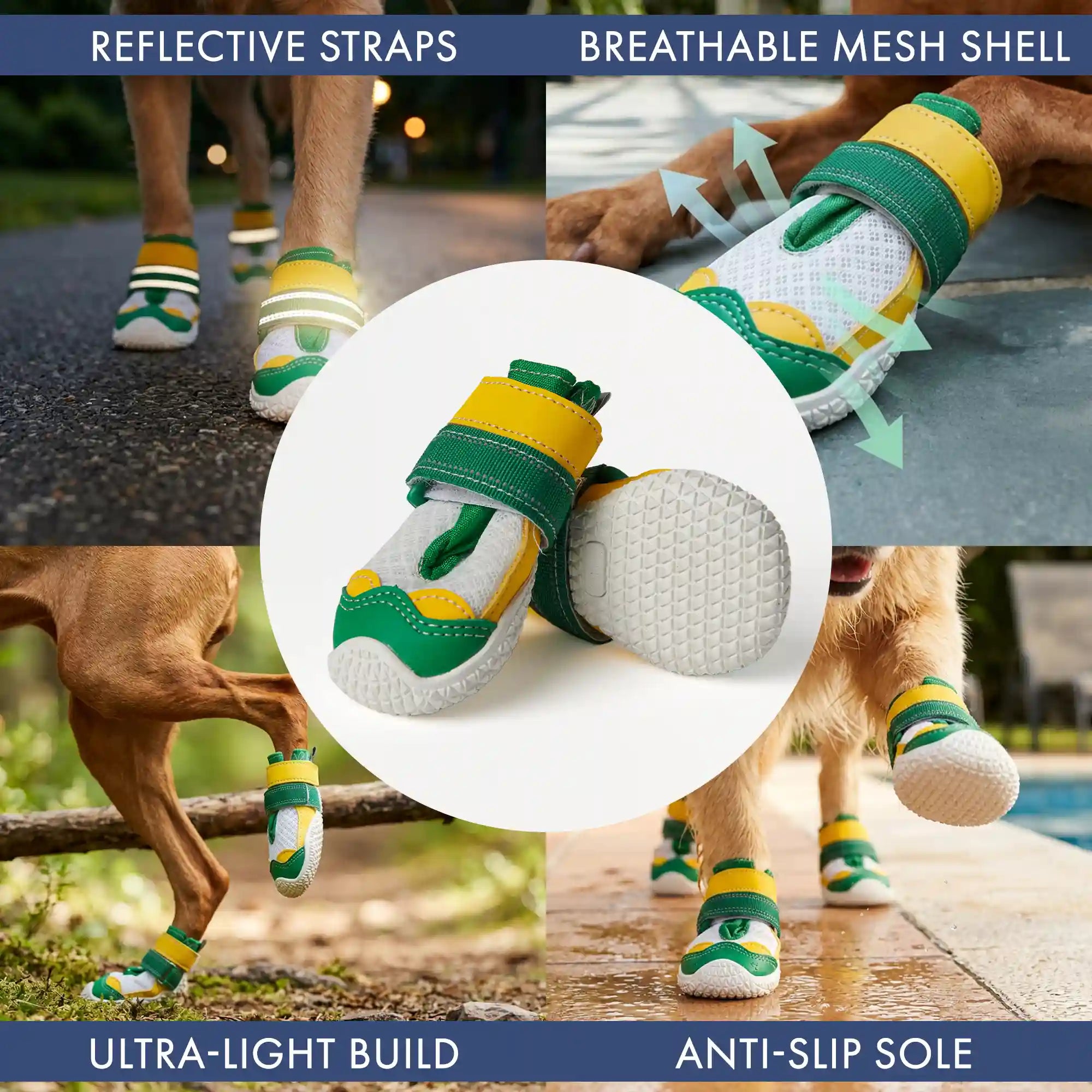 sparkpawsmaut.com
