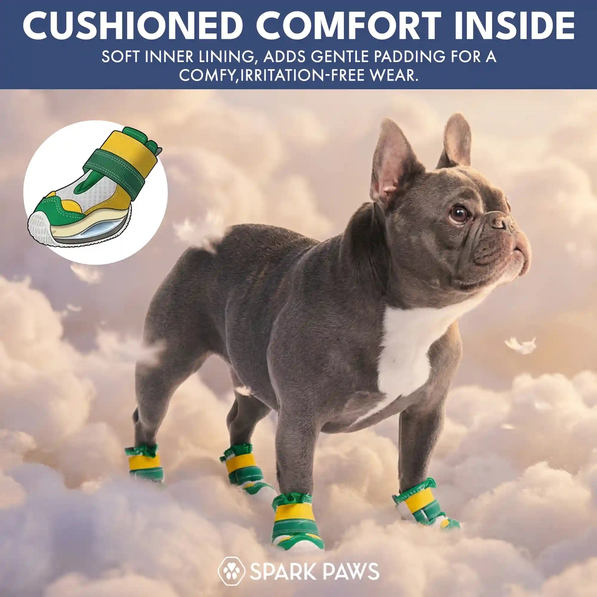 sparkpawsmaut.com