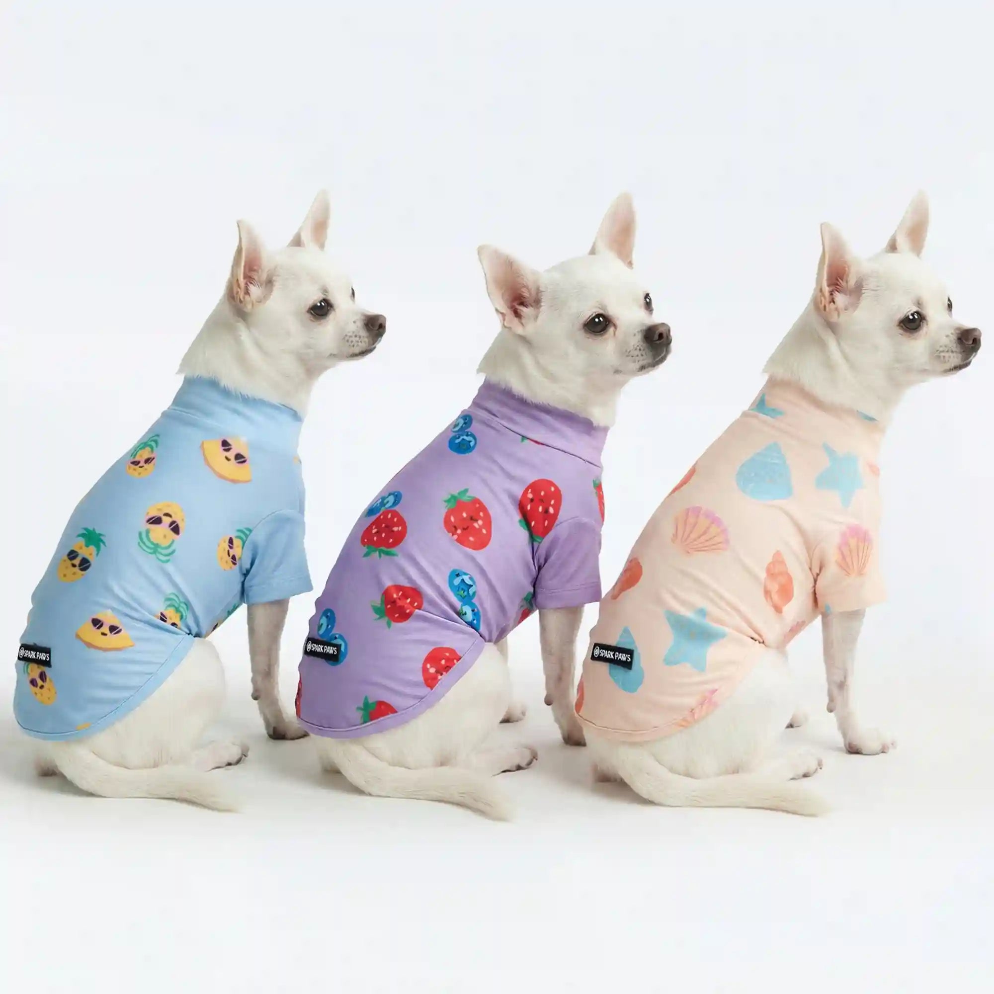 sparkpawsmaut.com