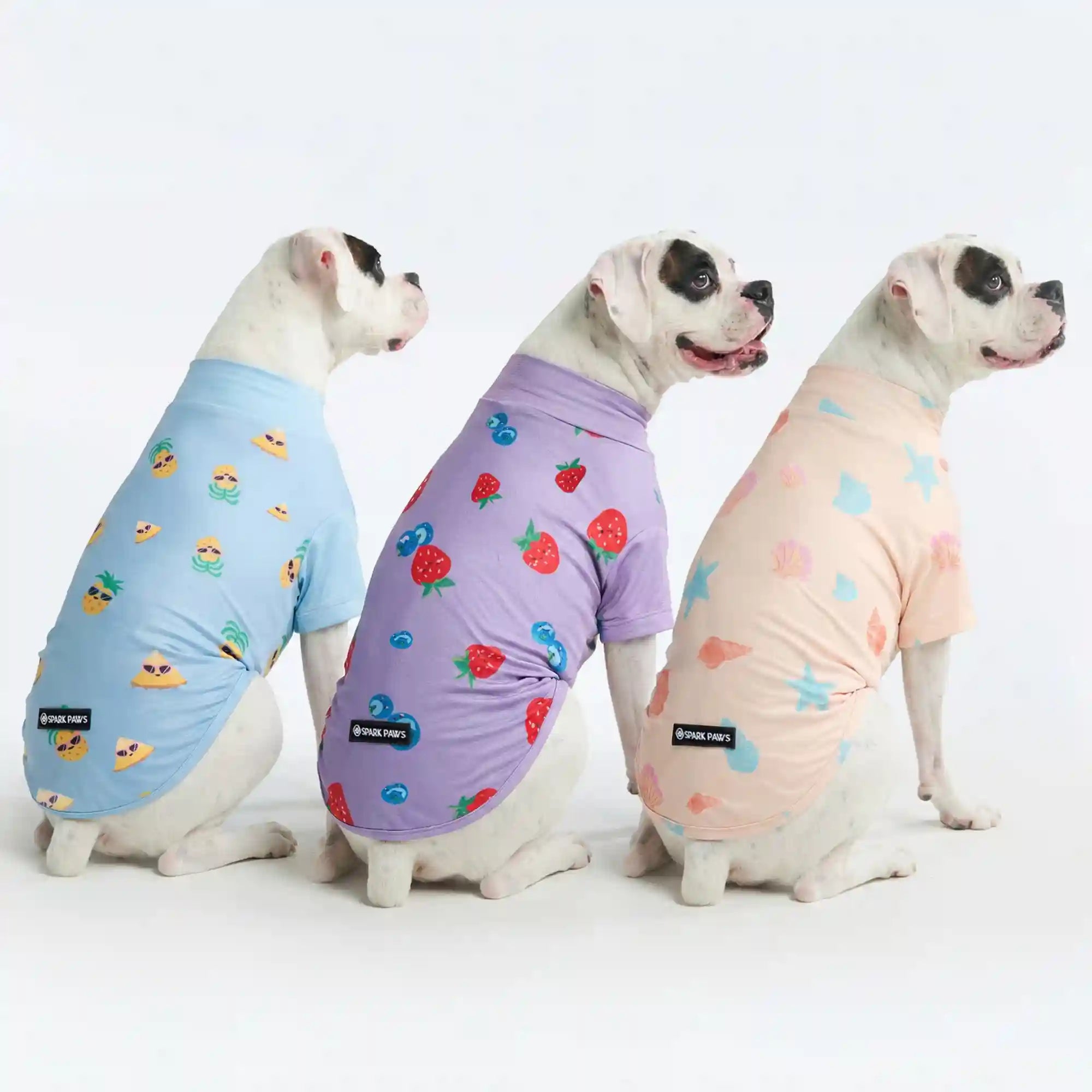 sparkpawsmaut.com