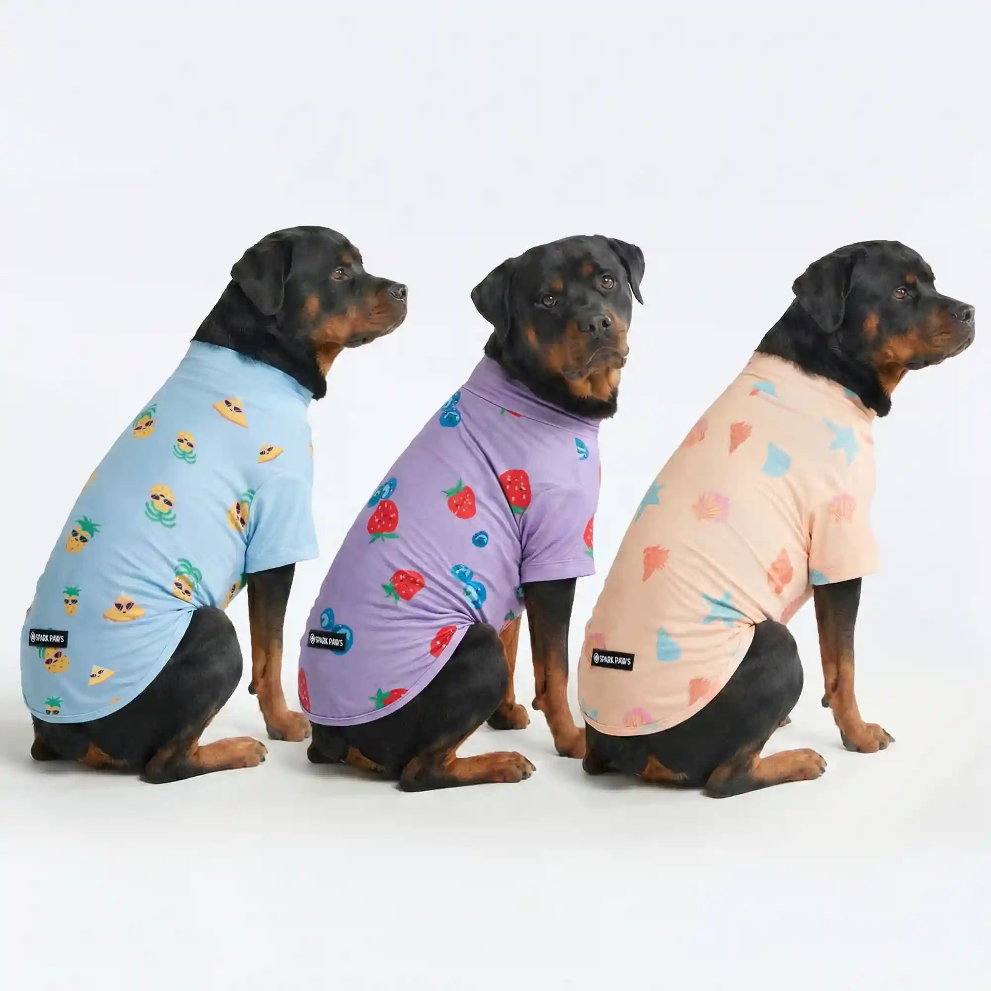 sparkpawsmaut.com