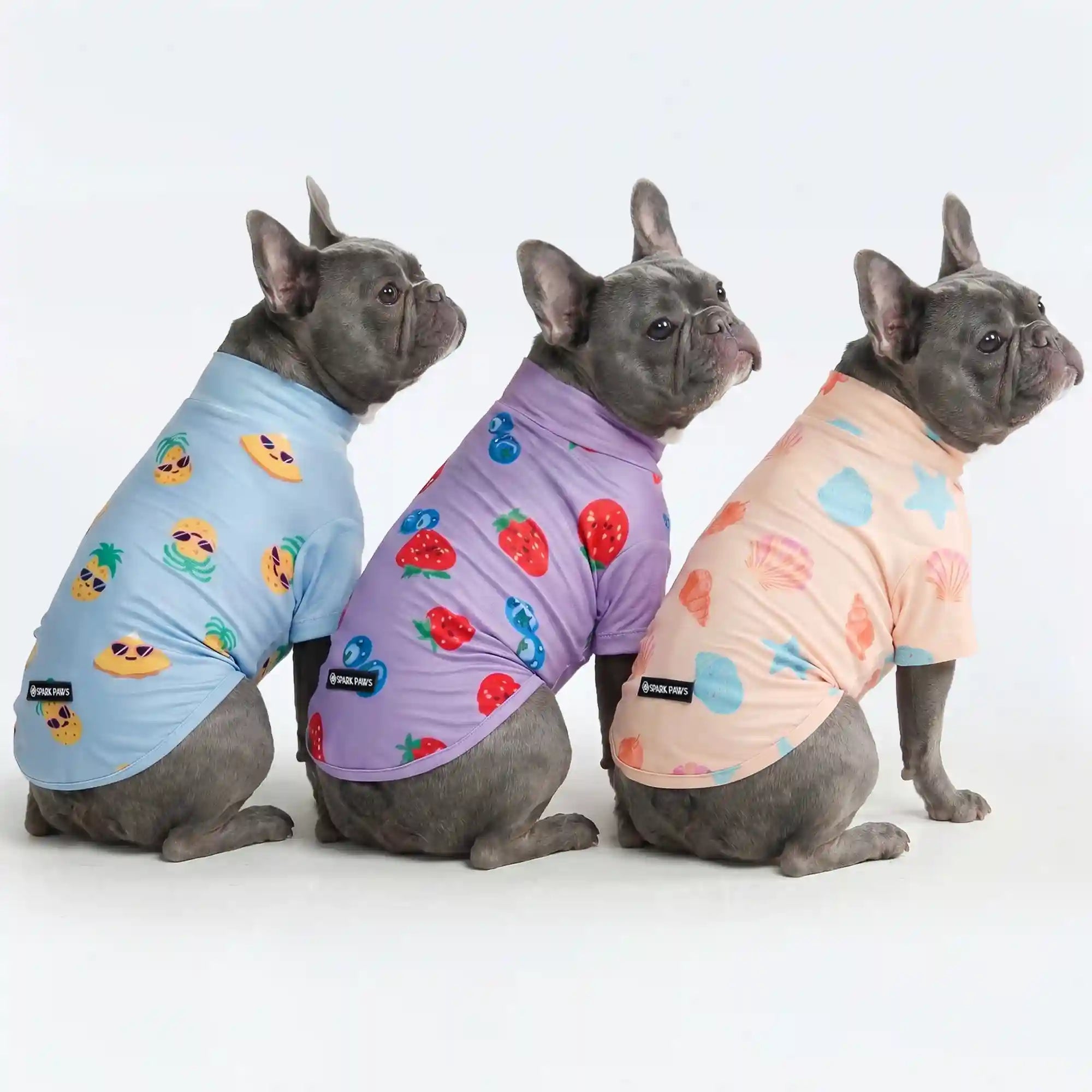 sparkpawsmaut.com