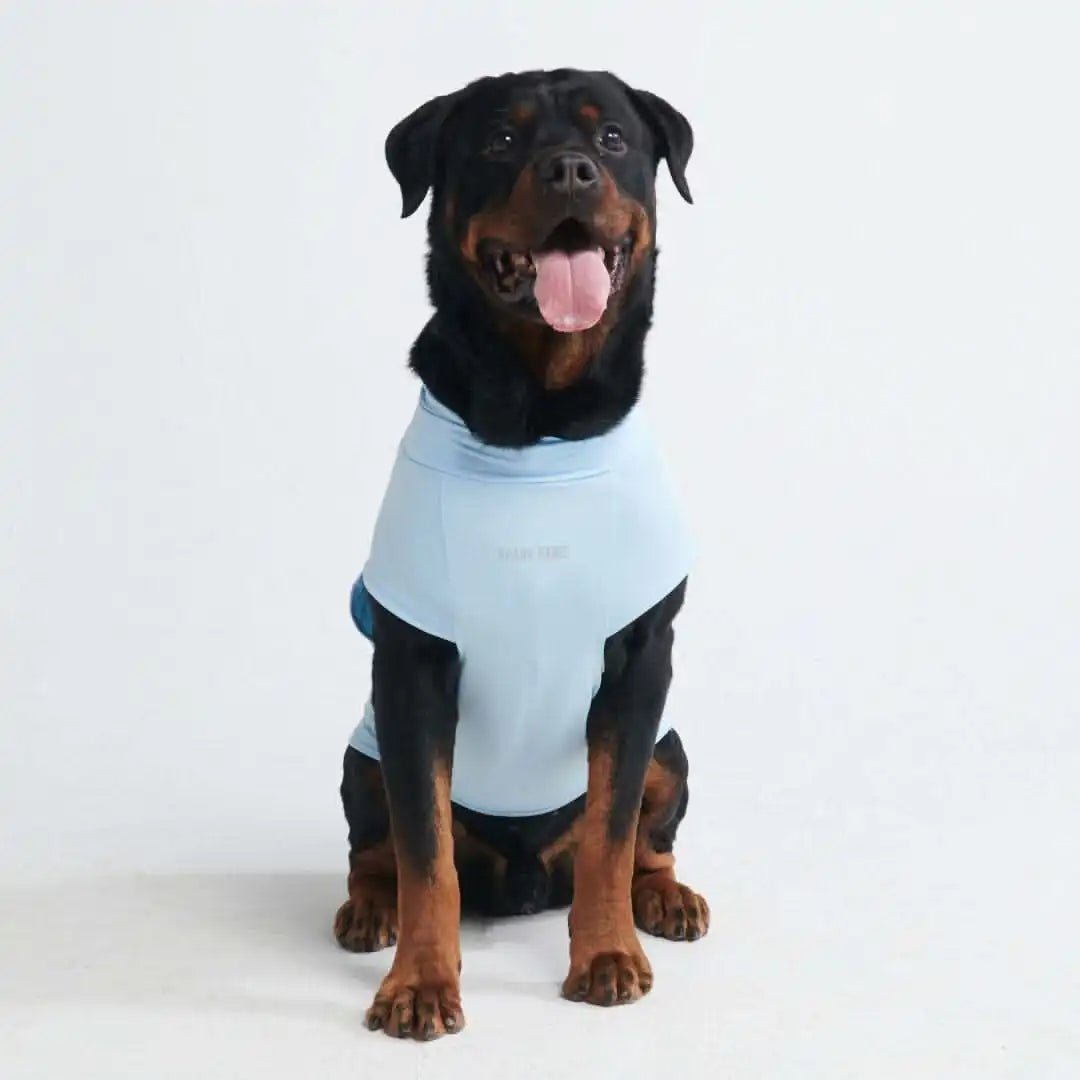 sparkpawsmaut.com