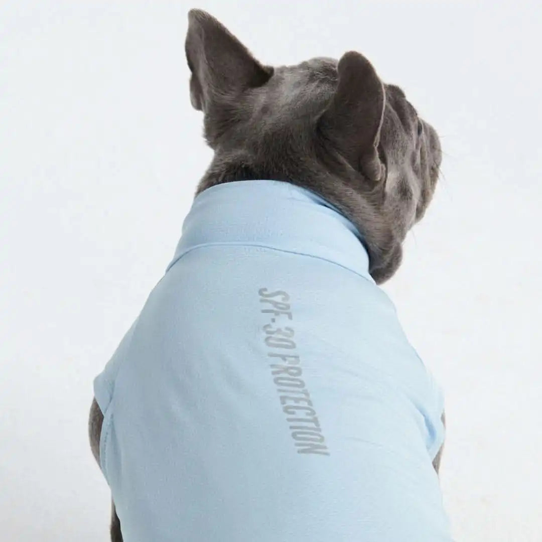 sparkpawsmaut.com