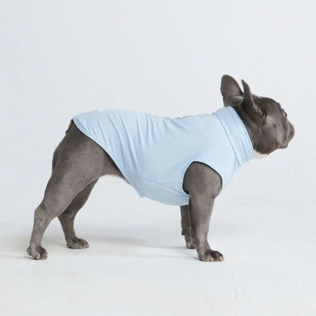 sparkpawsmaut.com
