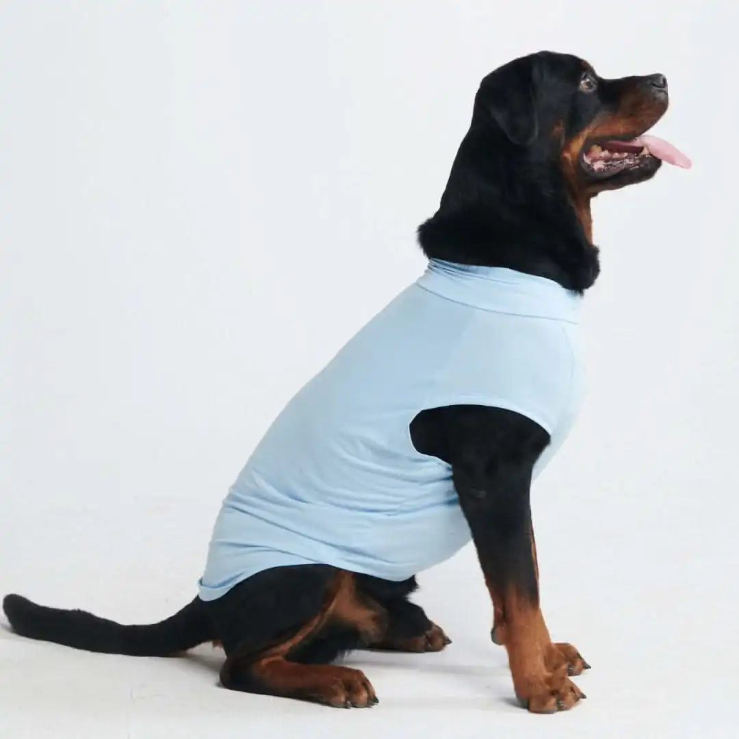 sparkpawsmaut.com