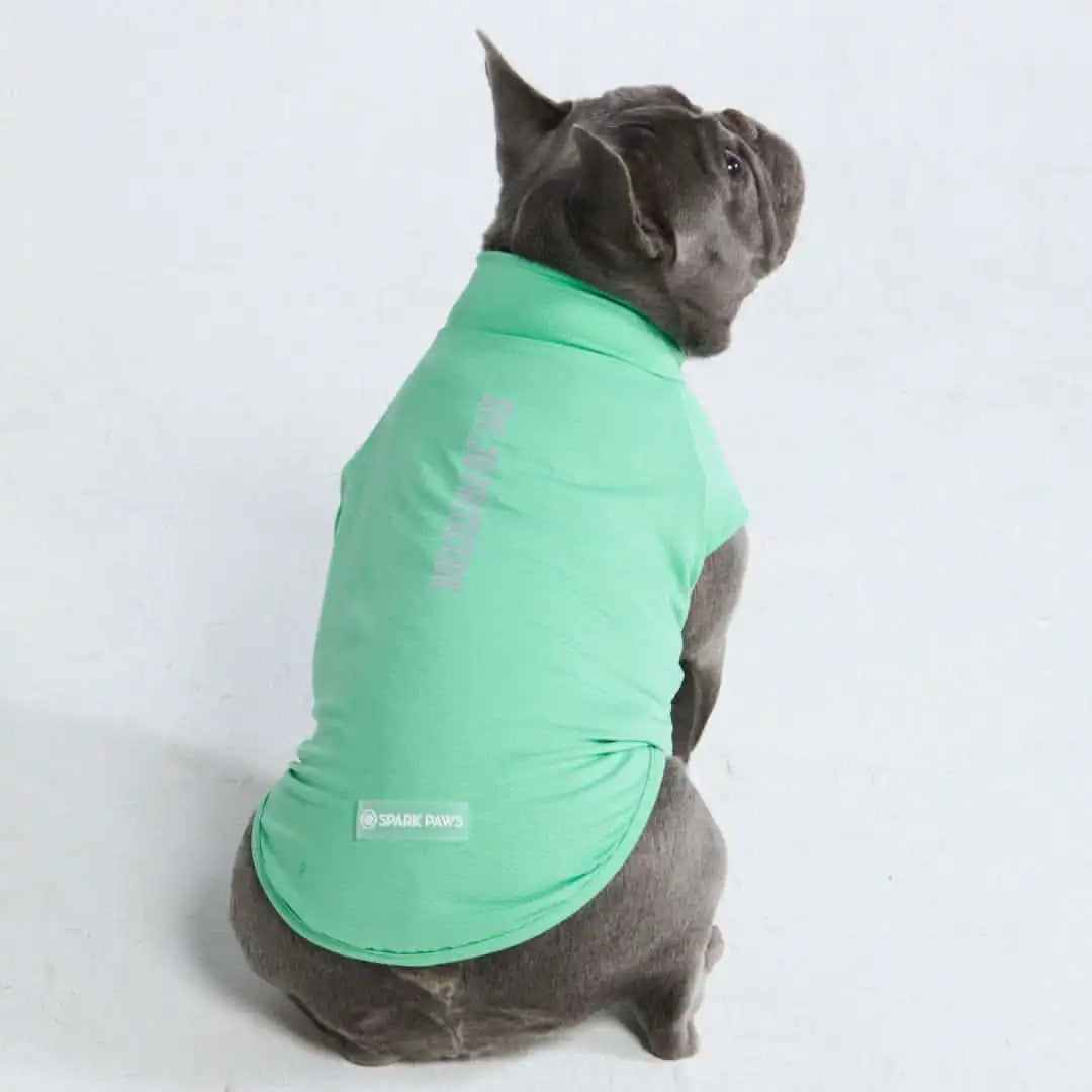 sparkpawsmaut.com
