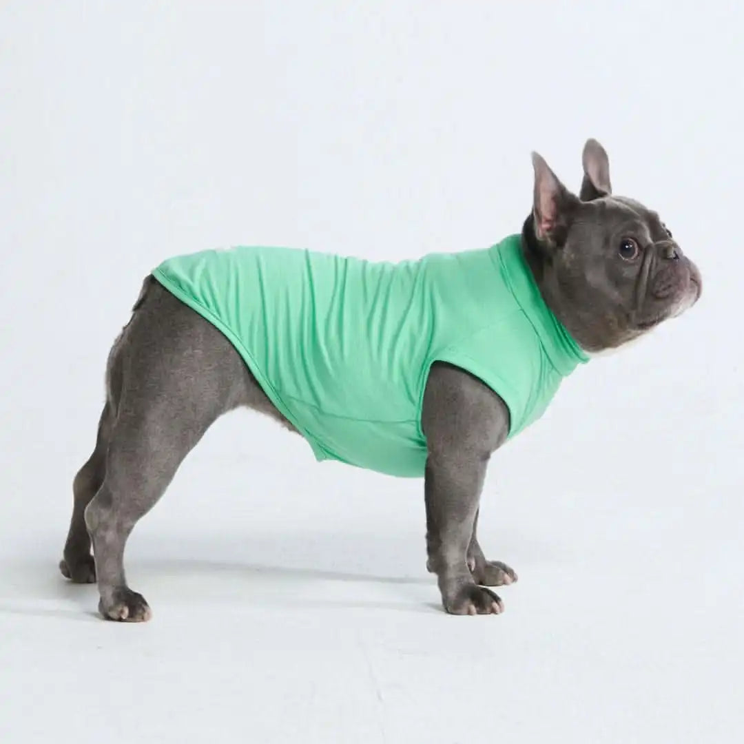 sparkpawsmaut.com