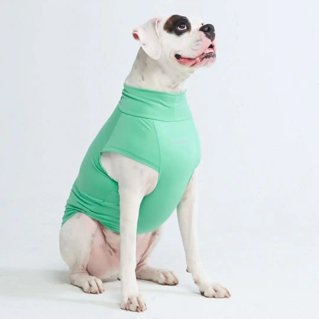 sparkpawsmaut.com