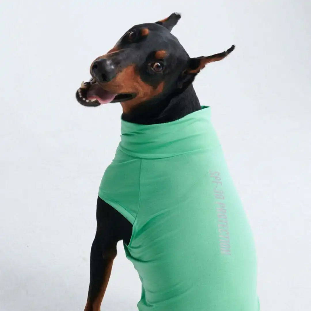 sparkpawsmaut.com