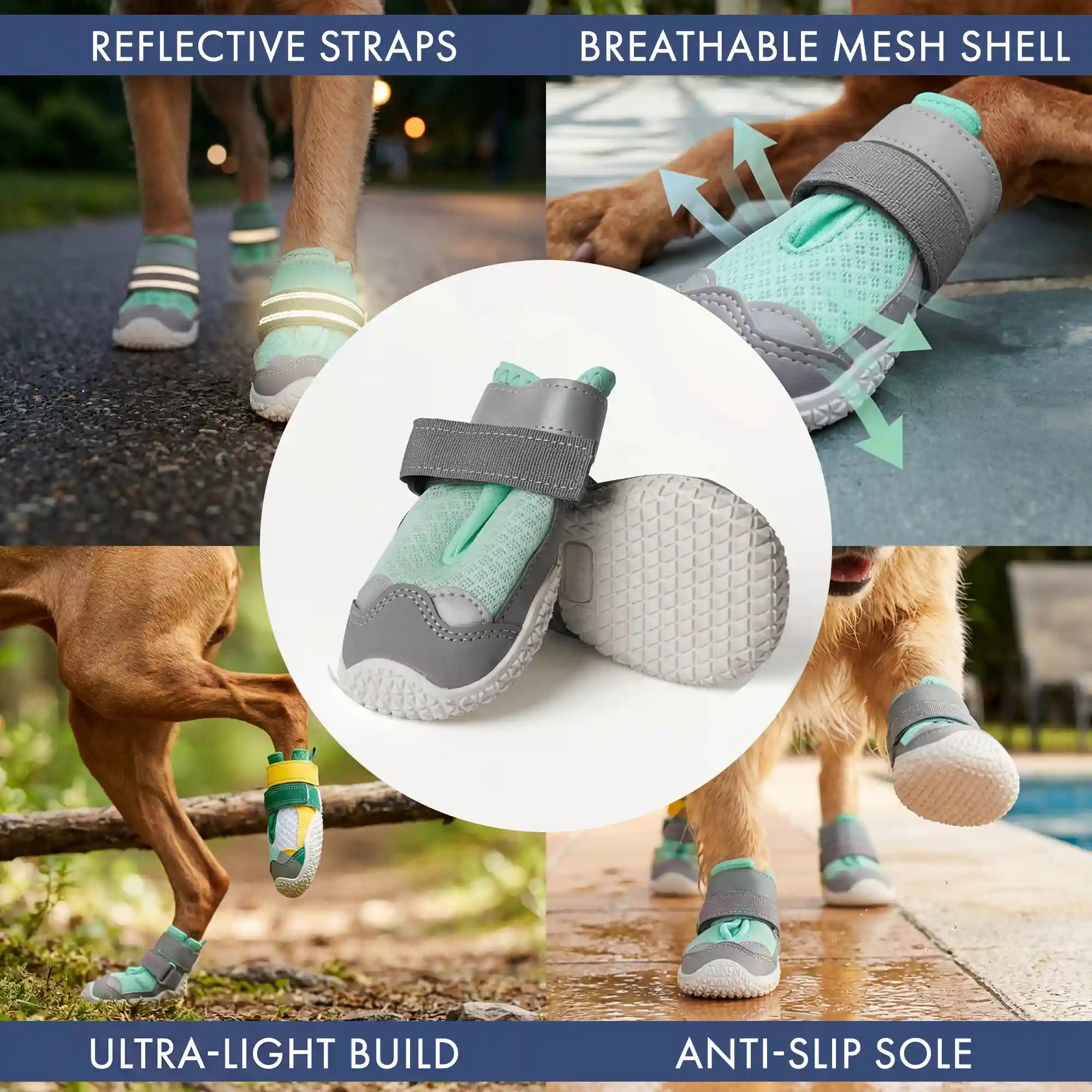 sparkpawsmaut.com