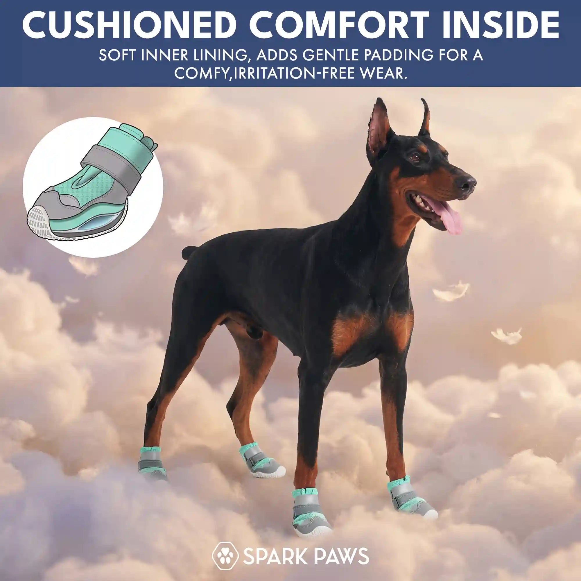 sparkpawsmaut.com
