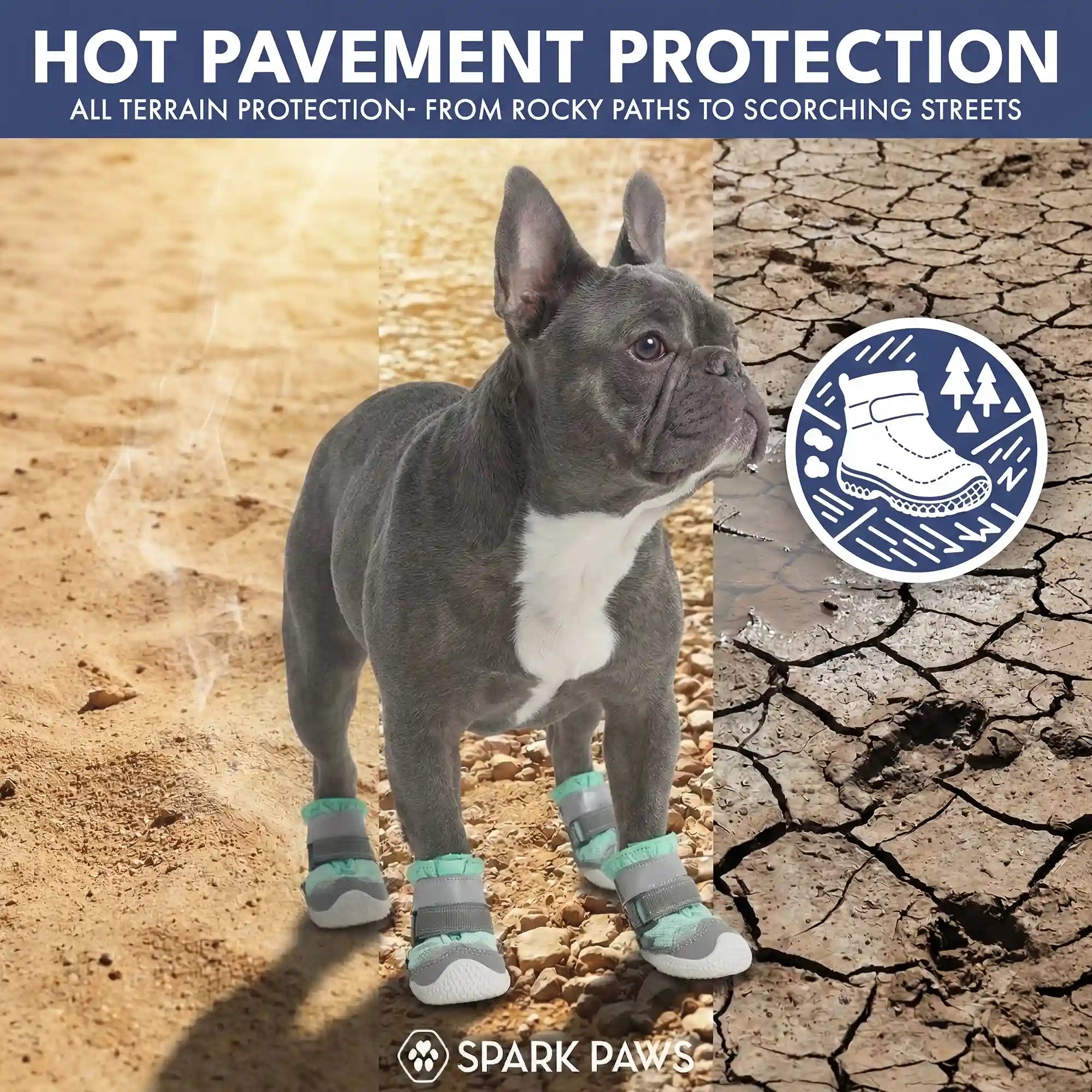 sparkpawsmaut.com