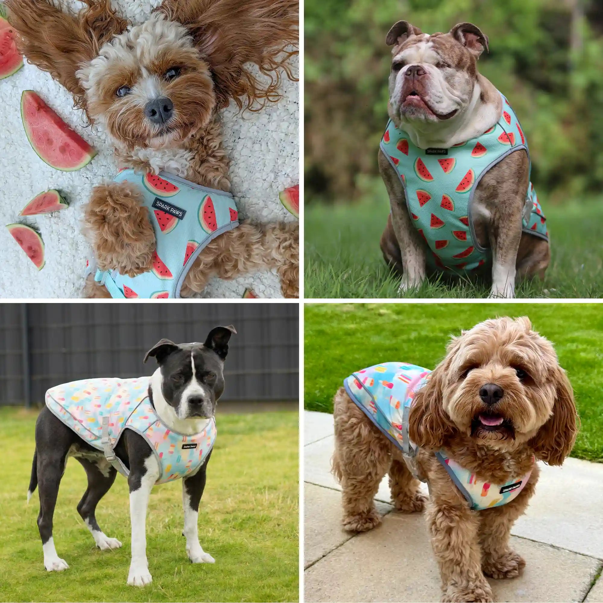 sparkpawsmaut.com